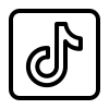 tiktok virtual number